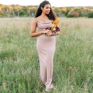 Champagne Skye Velvet Dress by Revelry